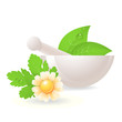 Mortar with herbs and camomile. Mortar with herbs and camomile.