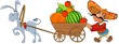 Mexican with a cart of vegetables pulled by a donkey.