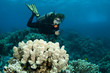 scuba divers having fun