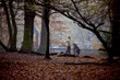 A young couple pushing a stroller in the park