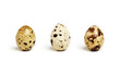 3 Eier