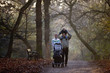 A family walking in the park