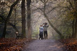 A family walking in the park