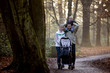 A family walking in the park