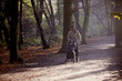 A young father pushing a stroller in the park