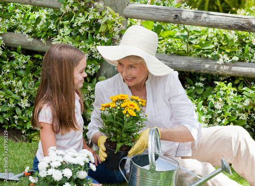 Photo: Grandmother with her granddaughter working in the garden Grandmother with her granddaughter working in the garden