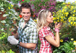Gardening.