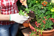 Florist