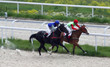 Horse racing.