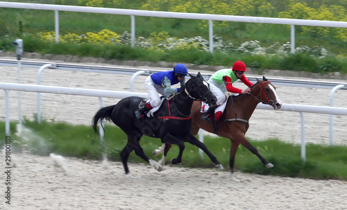 Foto: Horse racing. Horse racing.