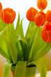Endlich Frühling: Tulpenstrauss