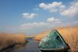 Old boats on shore
