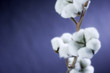 cotton backgorund
