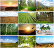 Landscape Collage Landscape Collage