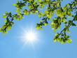 Sonne am Himmel