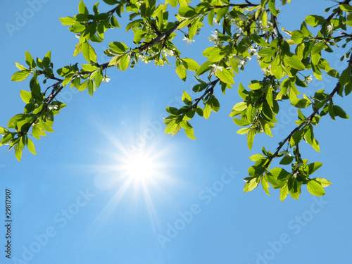 Photo: Sonne am Himmel Sonne am Himmel