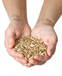 wheat
