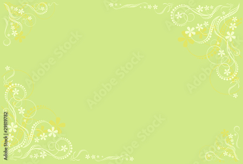Foto: pale green floral blank pale green floral blank