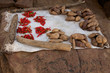 Food in the Dogon Land Food in the Dogon Land