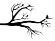 Vector: Birds on the tree Birds on the tree