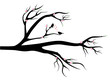 Vector: Birds in love on spring tree Birds in love on spring tree