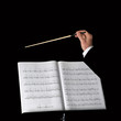Musical conductor