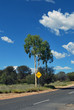 Australian landscape Australian landscape
