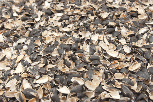quot empty sunflower seed shells with selective focus quot stock quot empty sunflower seed shells with selective focus quot stock