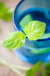 Fresh mint