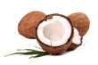 Coconuts on white background