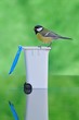 Recicla,por naturaleza.