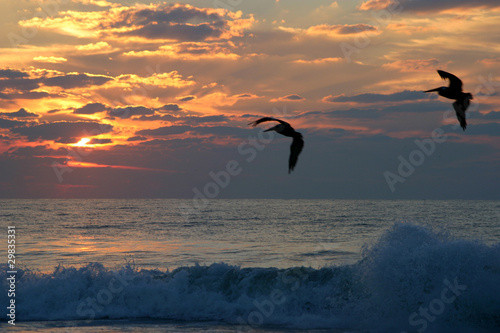 Photo: Pelican Sunrise Pelican Sunrise