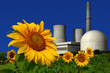 Atomkraftwerk hinter einem Sonnenblumenfeld