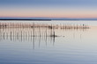 Atardecer en la Albufera de Valencia 4