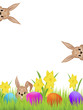 Happy Easter! Happy Easter!