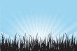 Wiese blau-schwarz