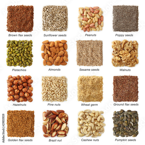Photo: Oil seeds and nuts with titels collection Oil seeds and nuts with titels collection