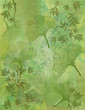 Fond Feuillage Bambou et Feuilles Ginkgo en Vert - Illustration