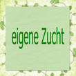 schild, begriff: eigene zucht