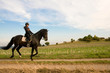 Photo: Equestrienne and a horse. Equestrienne and a horse.