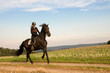 Photo: Equestrienne and a horse. Equestrienne and a horse.
