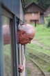 Foto: Zugfahrt Zugfahrt