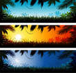Jungle banner
