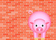 Pig before brick wall