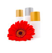 Means of body care- creams in jars Means of body care- creams in jars