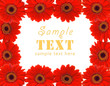 Background in the form of a frame from red flowers Background in the form of a frame from red flowers