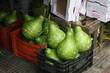 fruit