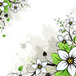 Grunge flowers