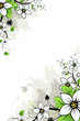 Grunge flowers