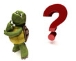Tortoise Caricature thinking by a question mark Tortoise Caricature thinking by a question mark